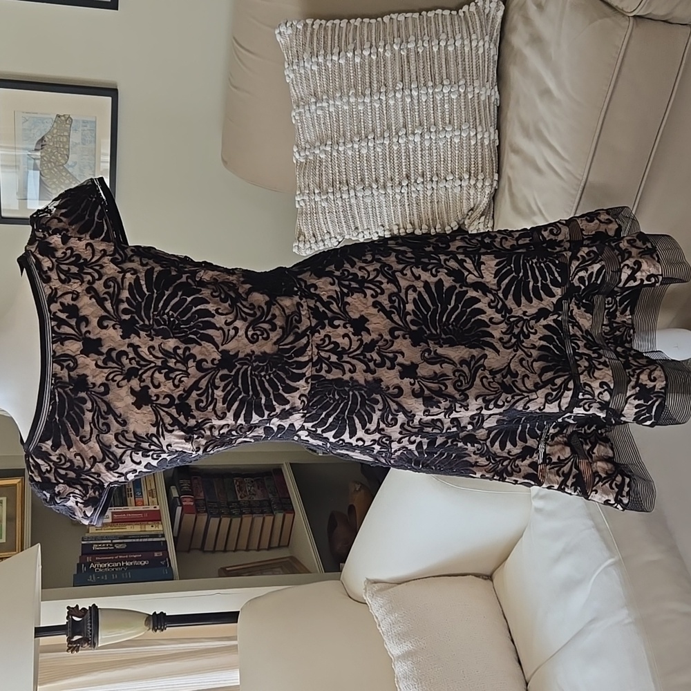 EUC Tadashi Shoji Black Lace Dress Size 6